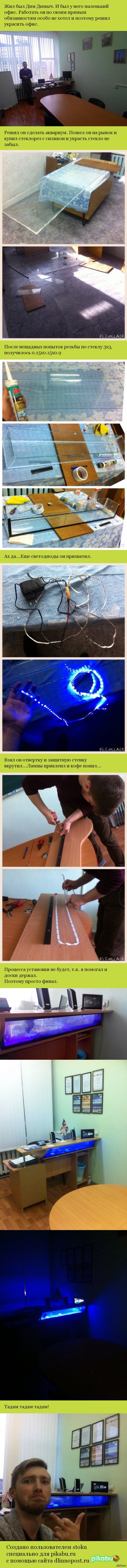 История о Дим Димыче