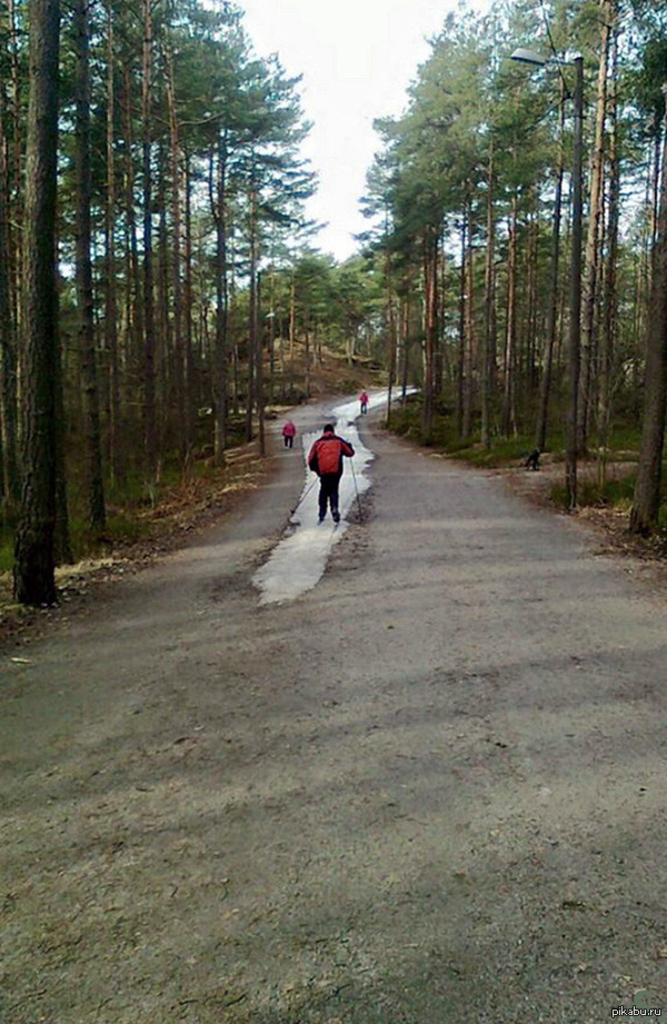 �����������, ������ ��� ����.