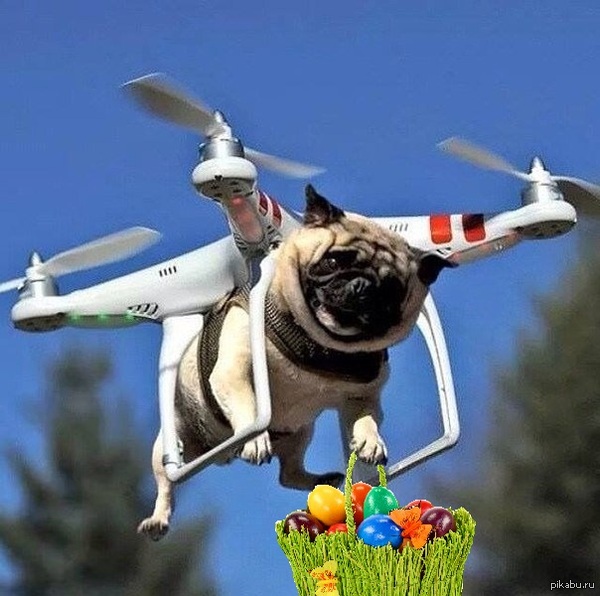 � ����������!