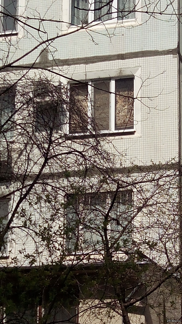 ����� ������� ��� ������������