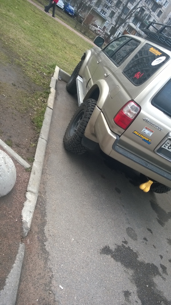 ������� ������������