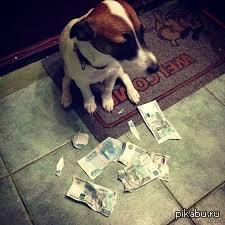 ������� �������� ����������