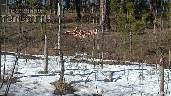 12 ������.