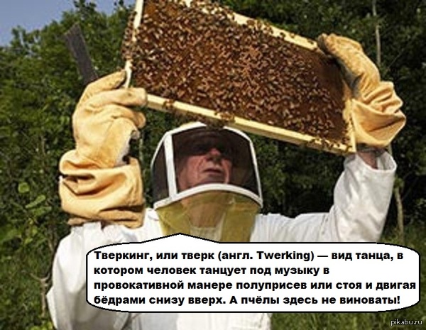 ��� �������- ������