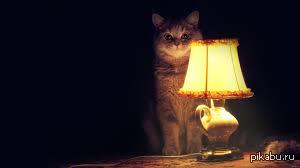 ��� � ������� �����...