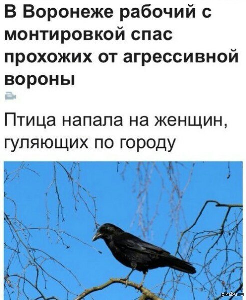 ����������� ����� XD