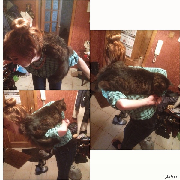 ������� ��������