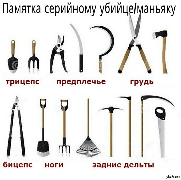        <a href="http://pikabu.ru/story/alternativa_kachalki_3265394">http://pikabu.ru/story/_3265394</a>  ,     .