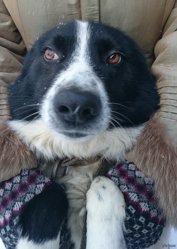 ���� ����������� :)