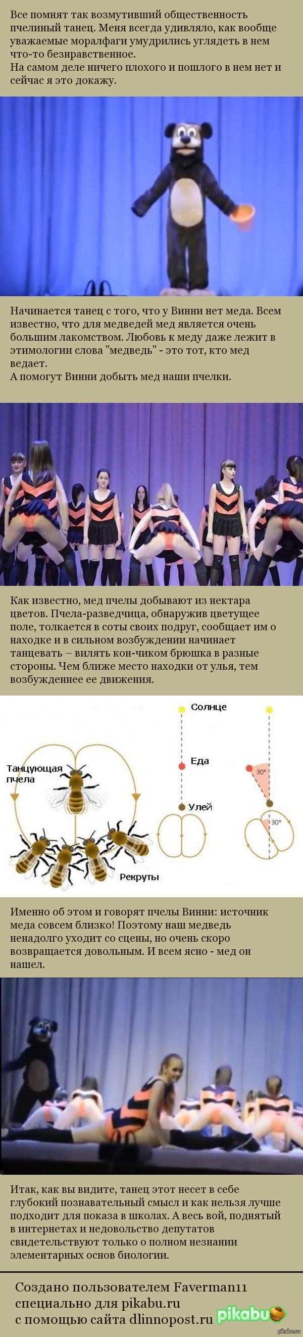 Пчелиный танец с точки зрения биологии