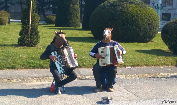 ������� ����� ������� ��������