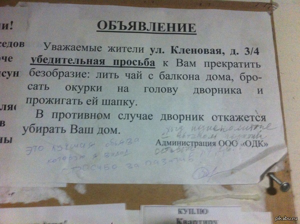 Терпеливый, однако, дворник