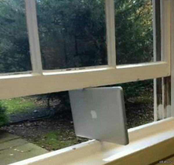  Apple   Windows   