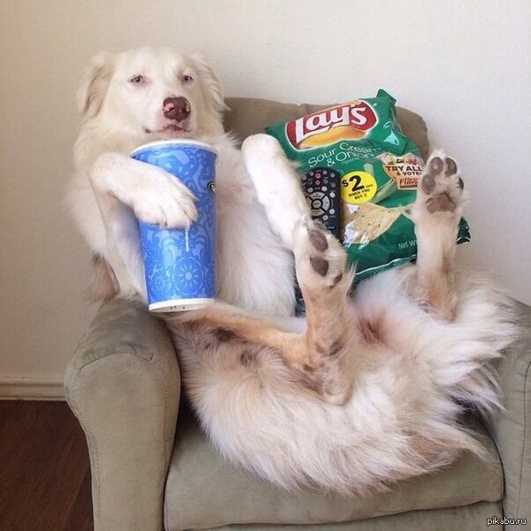 ����� ������� �� �����.