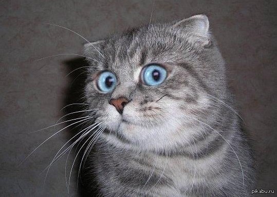 ���������� ��� �������� � ���������� ����������� �����!