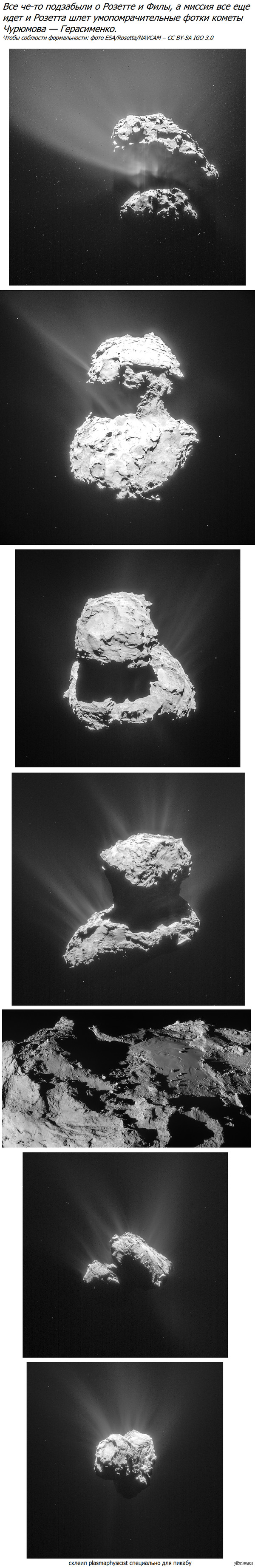     Rosetta