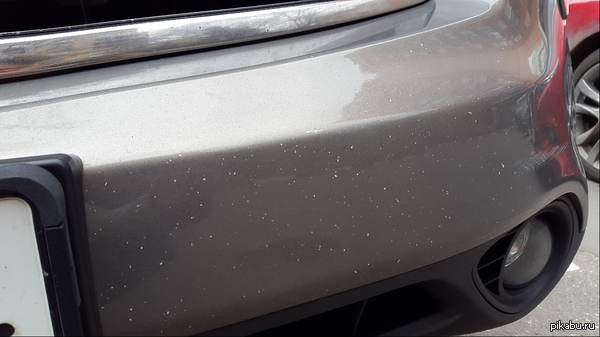       .                   . 110 /