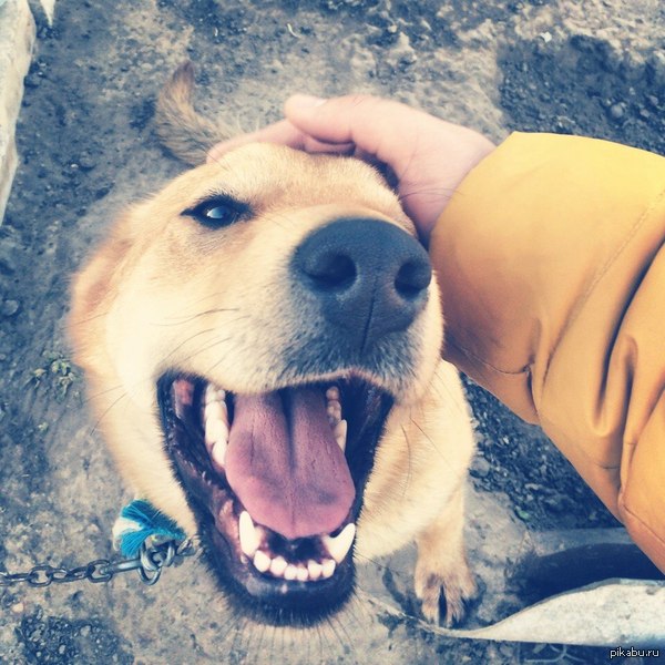 ����� �������������� ������)