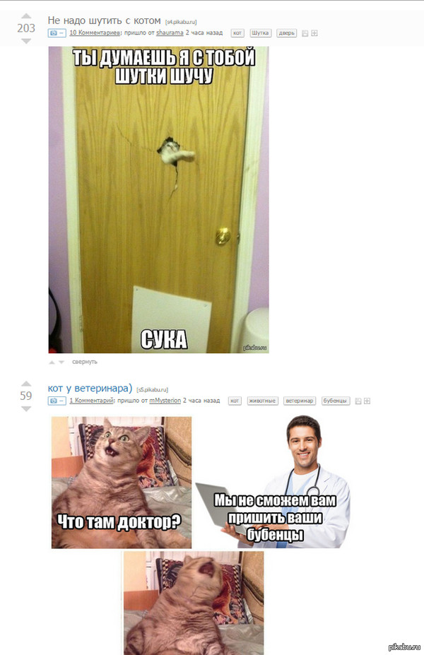 ,    ,     . , ,        ?