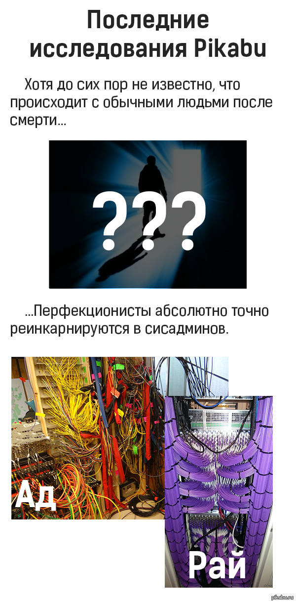 Шок! Тайна реинкарнации приоткрылась перед нами!