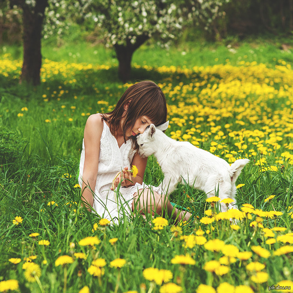 Привязанность | Пикабу