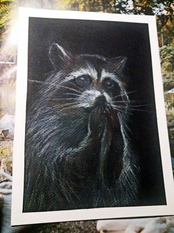 Подарок от девушки на день рожденья