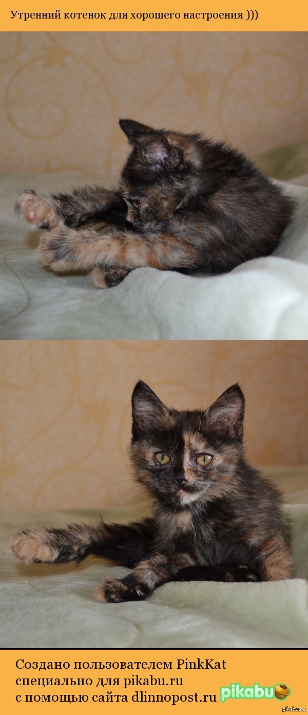 �������������� )))