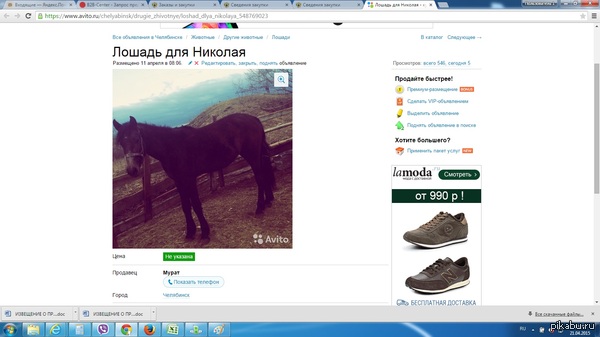 Лошадь для Николая