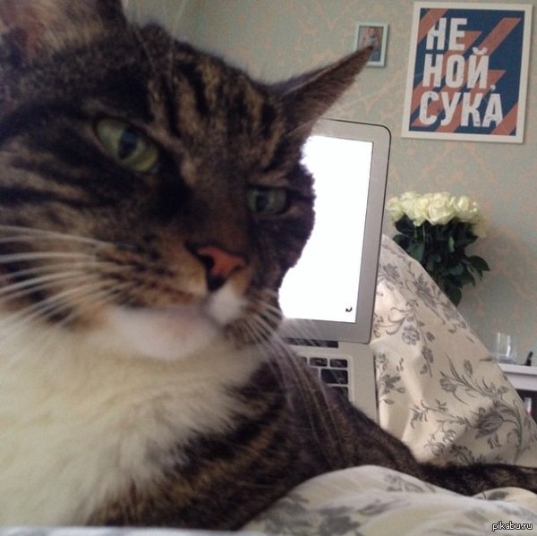 ������� ��� ��� �����