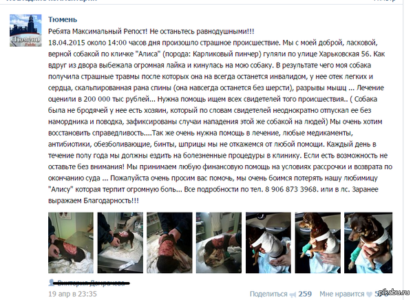 ������� �������� 200 000 ������ �� ������� ���������� ������.