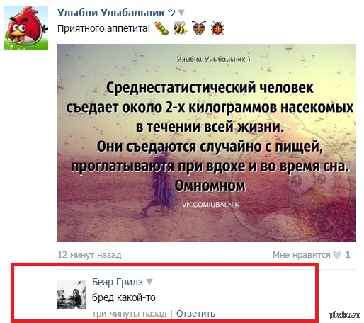 Беар Гриллс знает толк в еде Xd