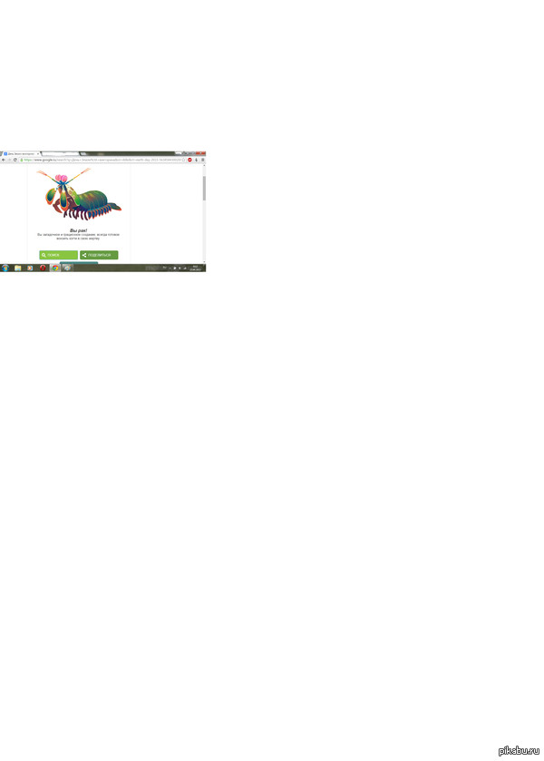 ���� ��� �����