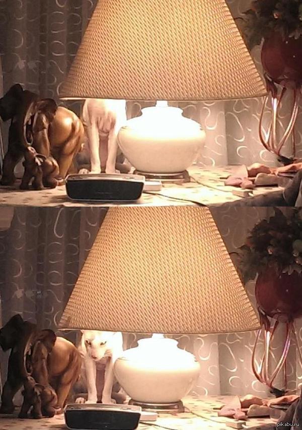 ������� ��������