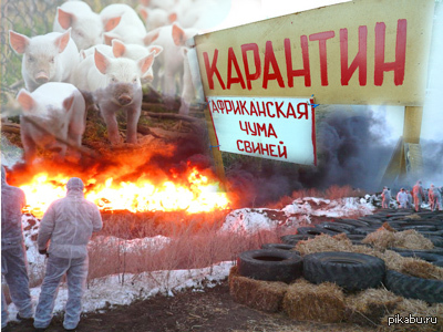 ���! ����� ������� ��������� ���������!