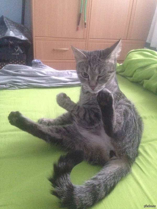 ��� ����� �������� ����� ��� � ^^