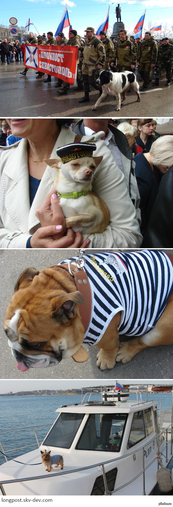 ������ �����������