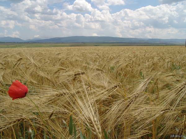 �� ����������� ��������.