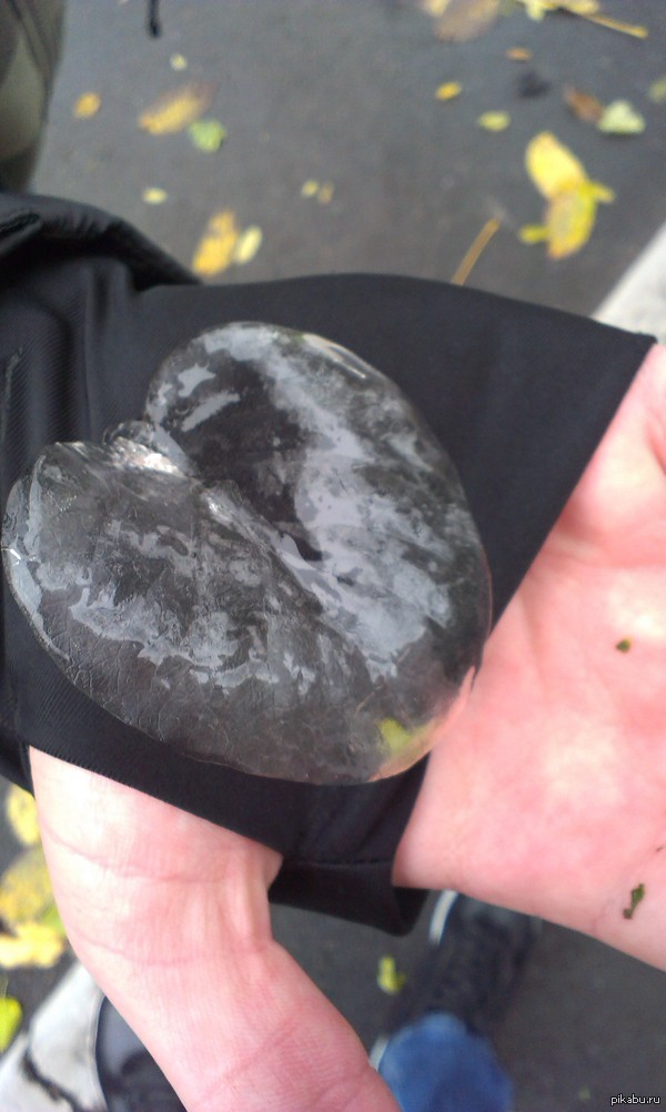 ������� ����� �������,������ ����� �� ����� ����� ������ �����