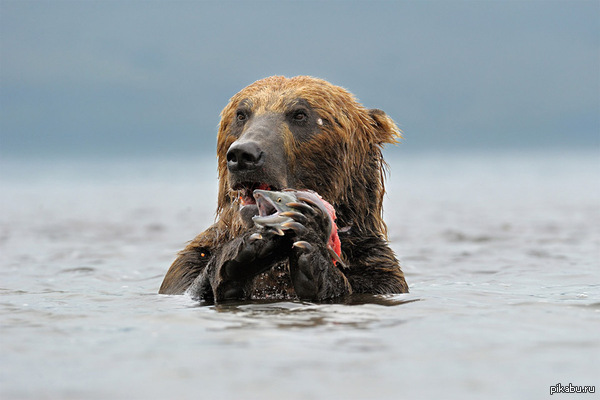 �������