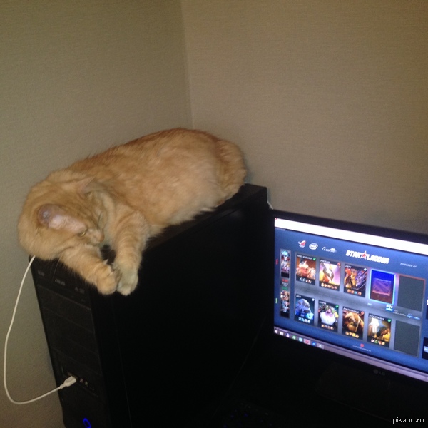 ��� ���� � ���� �� ��