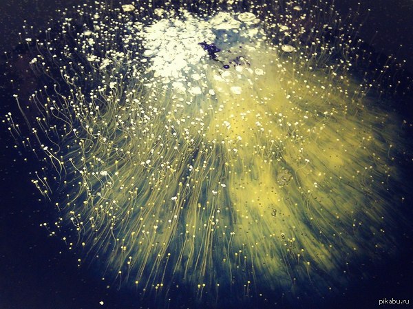 �� ������� ����� ������� ����� � ������ �������� �������������.