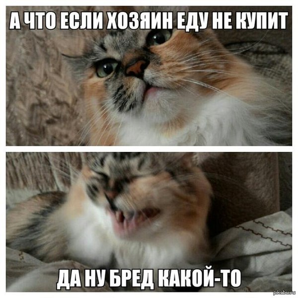 ��� ����� "����" ������ � ��� ������� ���������� ������