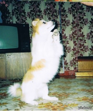 ������ ������... � ��� �� ����?