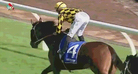  - -,     -,     -,  . 