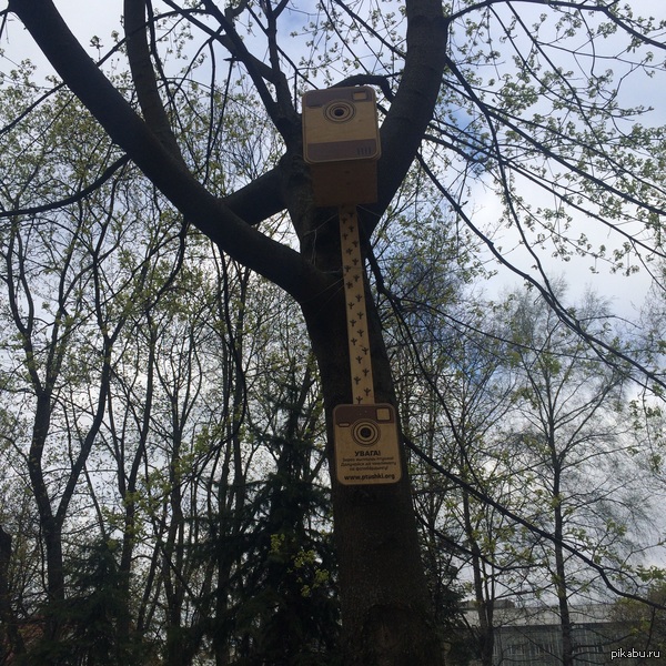 ������� ������� ���������� �����������