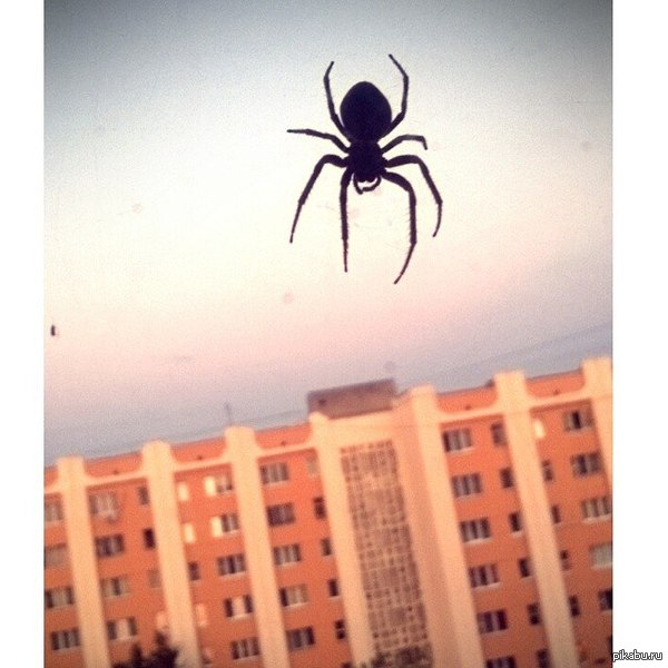 ������������ ��������� �� �����.