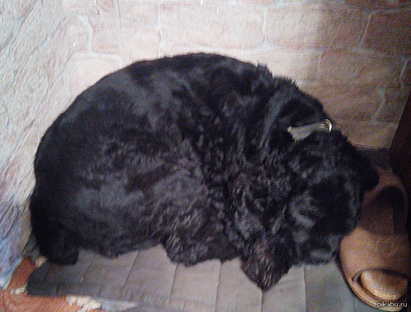 ������� � ���, ��� � ������, ��� ������� ����� ��������� �� �������� � �������