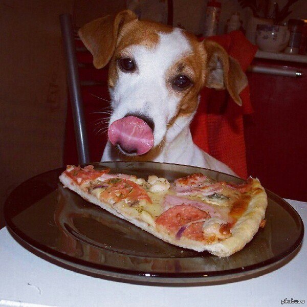 Искушение велико