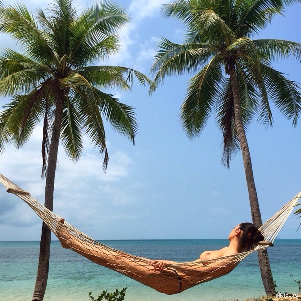 Sunshine to all! - NSFW, Summer, Sea, Girls, Boobs, Palm trees, 