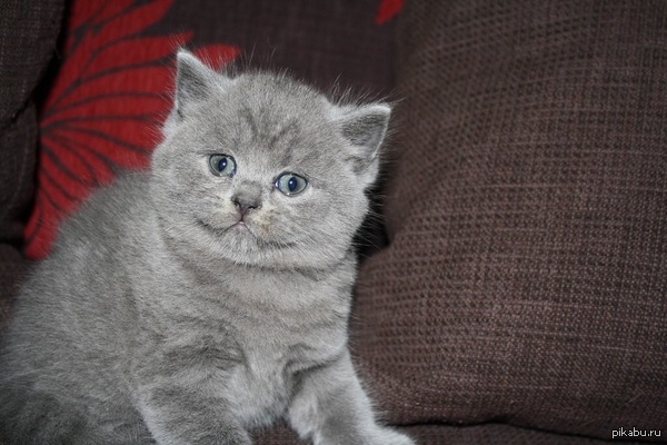 ������� ��� ����� ������� ... ������� �������� ����� :)